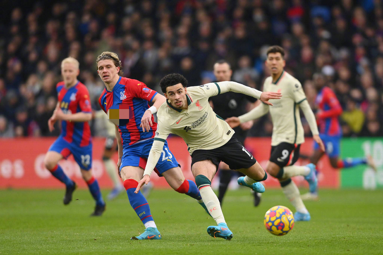 者选中的年 者选中的年